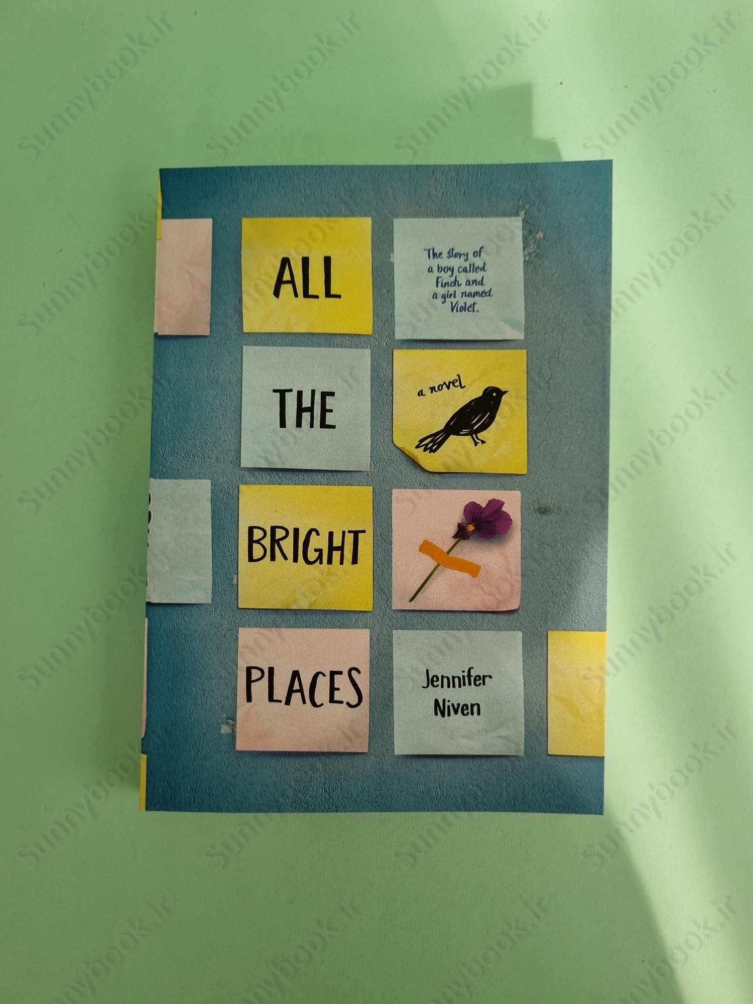 All the Bright Places main 1 2