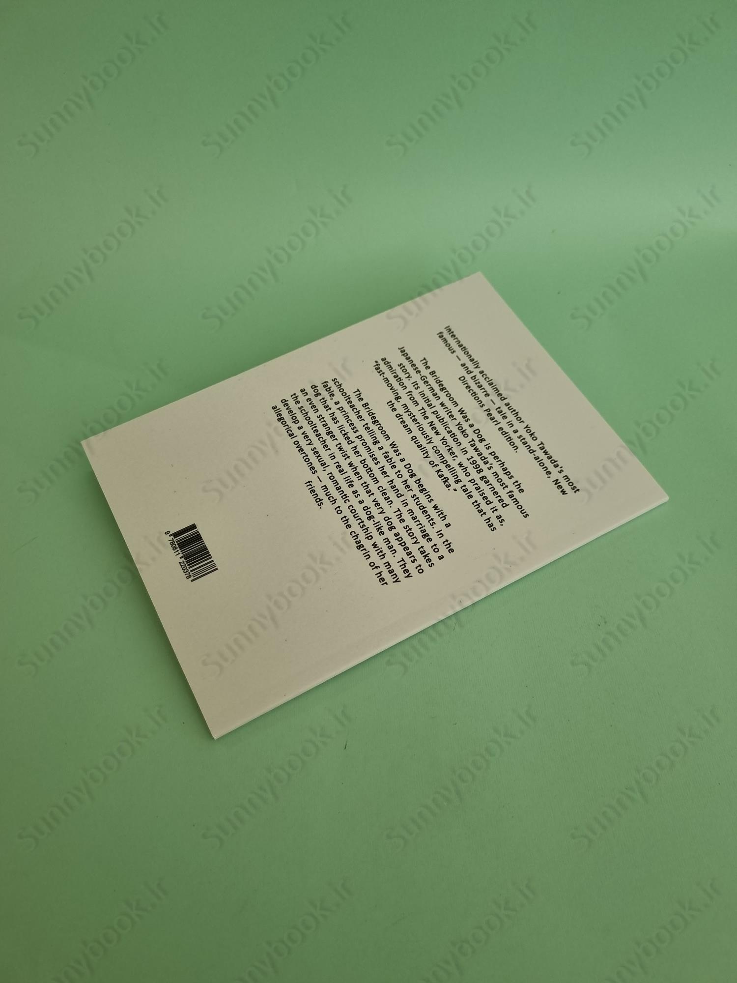 The Bridegroom Was a Dog main 1 4