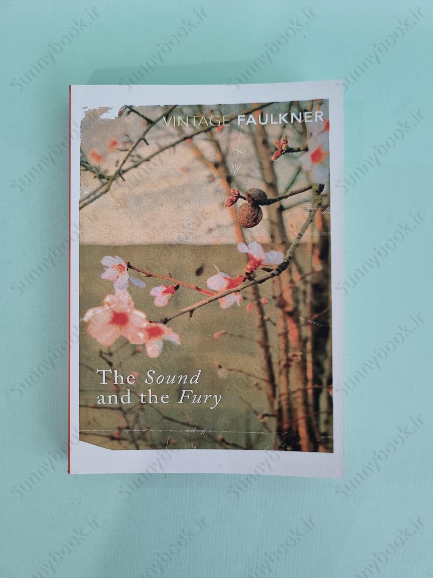 The Sound and the Fury main 1 2