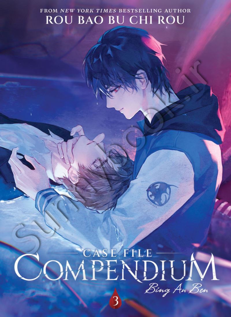 Case File Compendium: Bing An Ben (Novel) Vol. 3 main 1 1