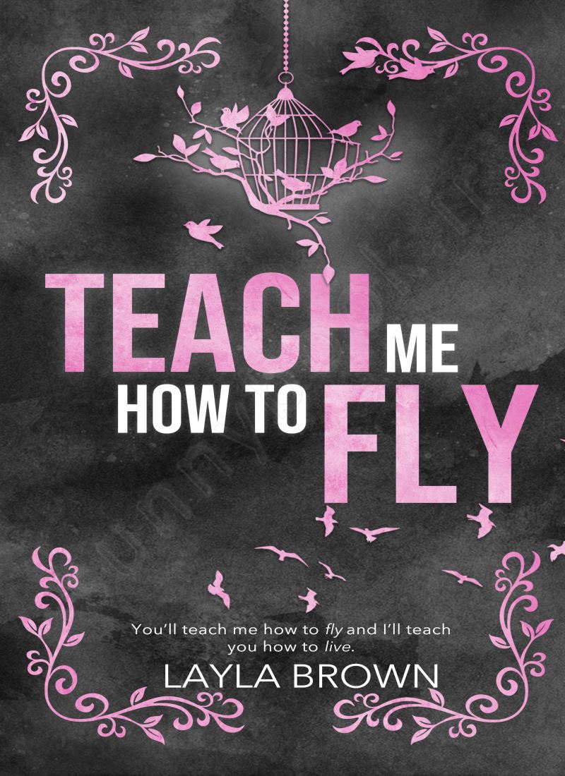 Teach Me How To Fly main 1 1