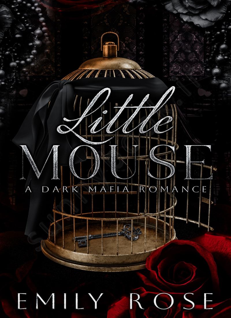 Little Mouse main 1 1