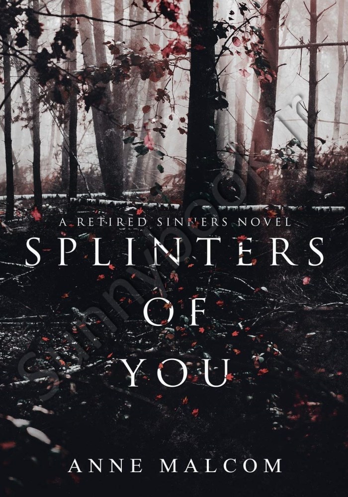 Splinters of You (Retired Sinners) main 1 1