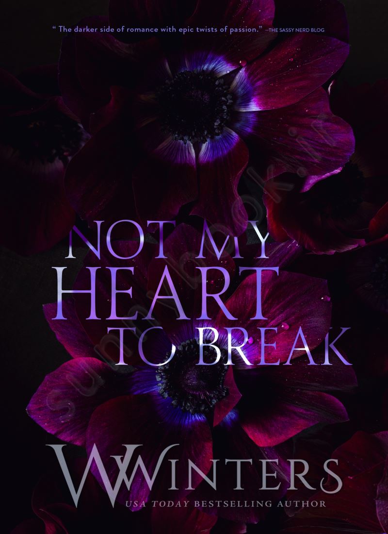 Not My Heart to Break (Merciless World Series Book 3) main 1 1