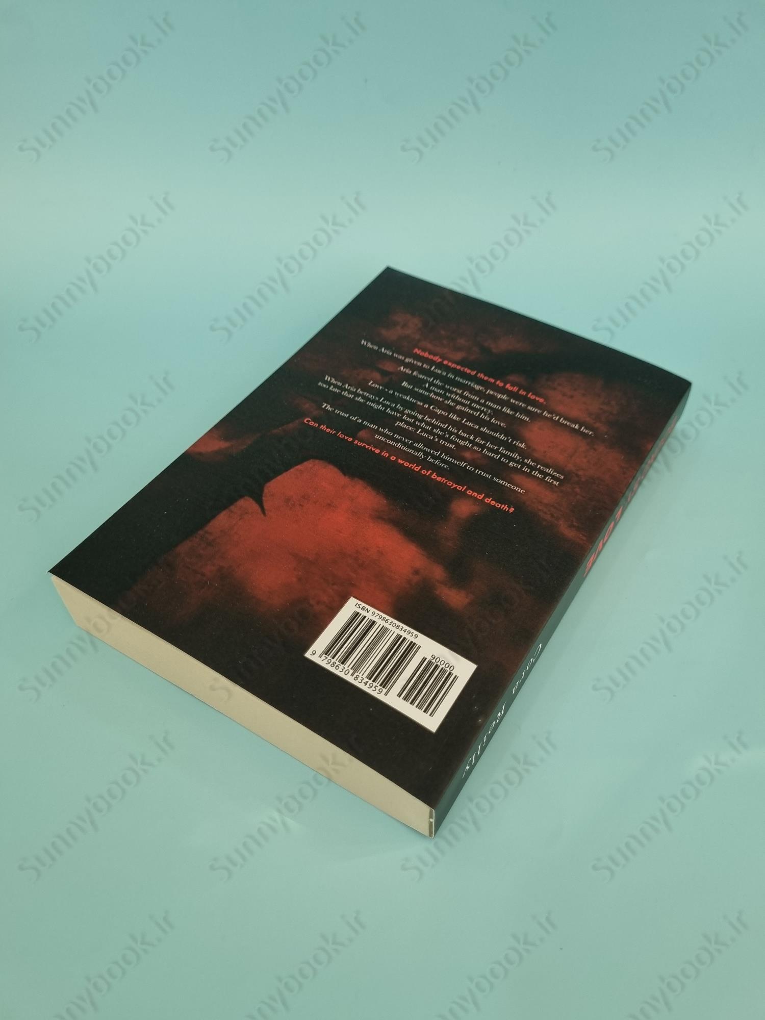 Bound by Love (Born in Blood Mafia 6) main 1 4