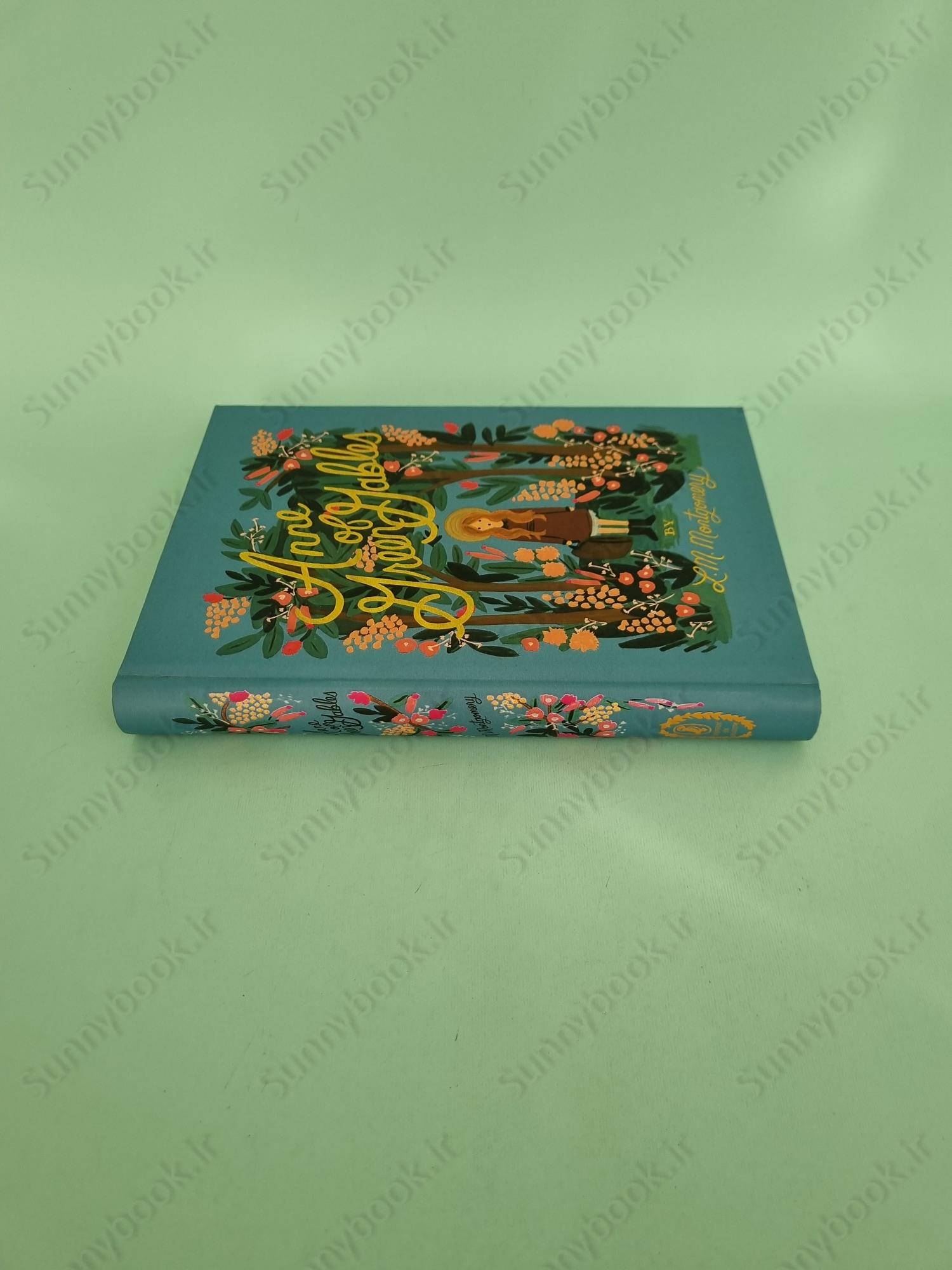 Anne of Green Gables main 1 4