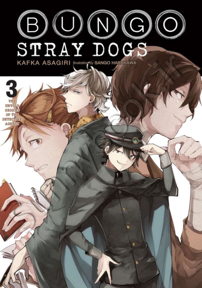 Bungo Stray Dogs Vol. 3 main 1 1