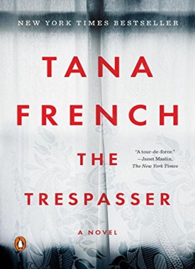 The Trespasser (Dublin Murder Squad 6) Model.Title