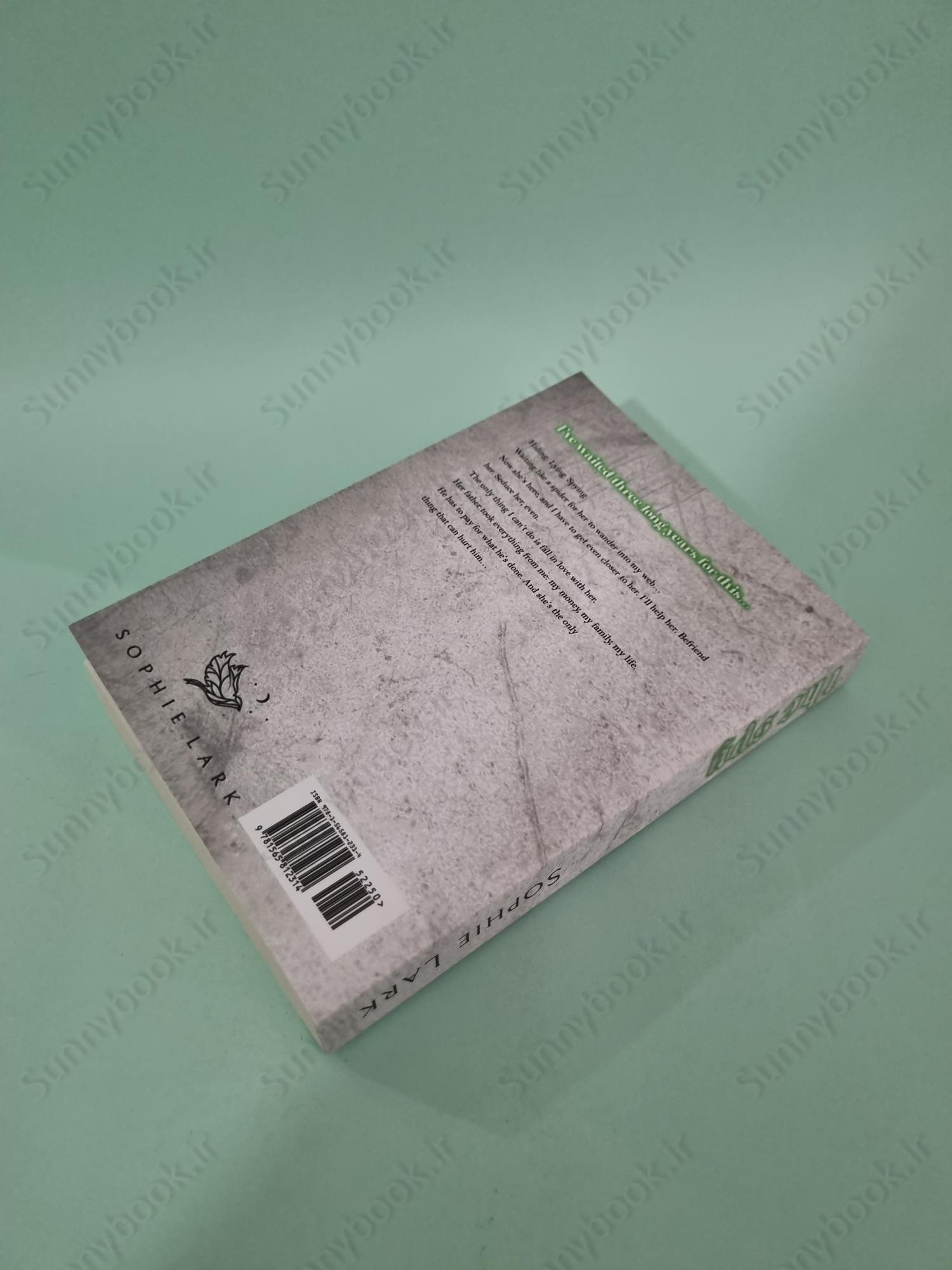 The Spy (Kingmakers 4) main 1 5