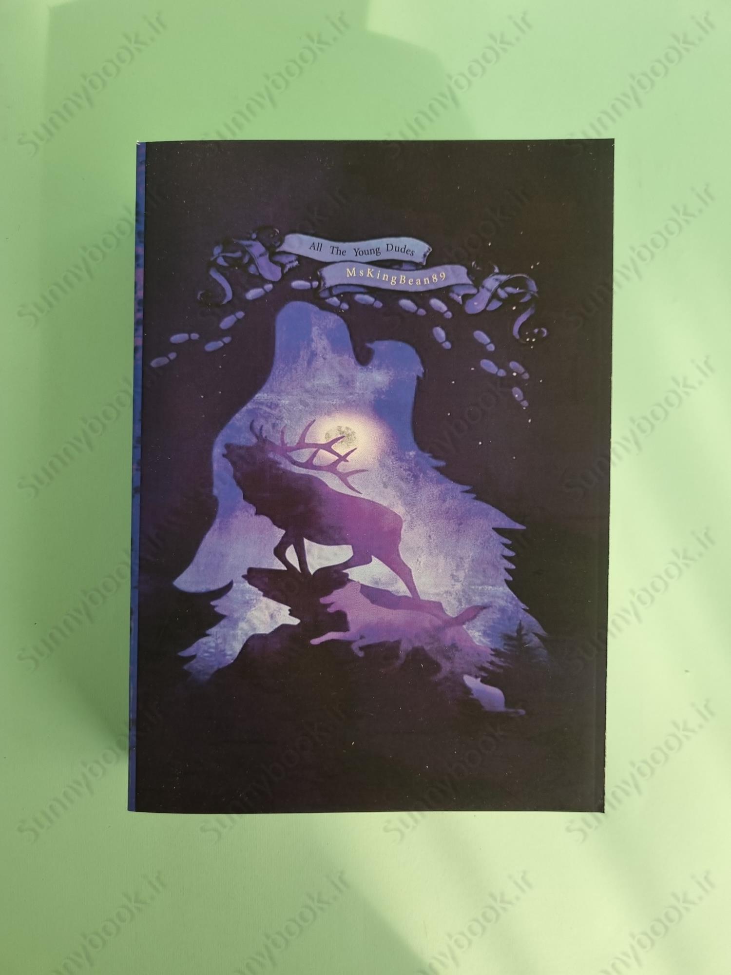 All the Young Dudes - Volume Two: Years 5 - 7 main 1 2