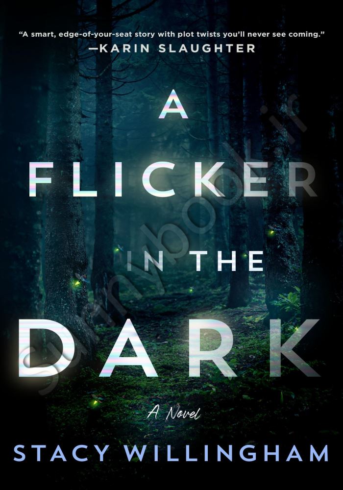 A Flicker in the Dark main 1 1