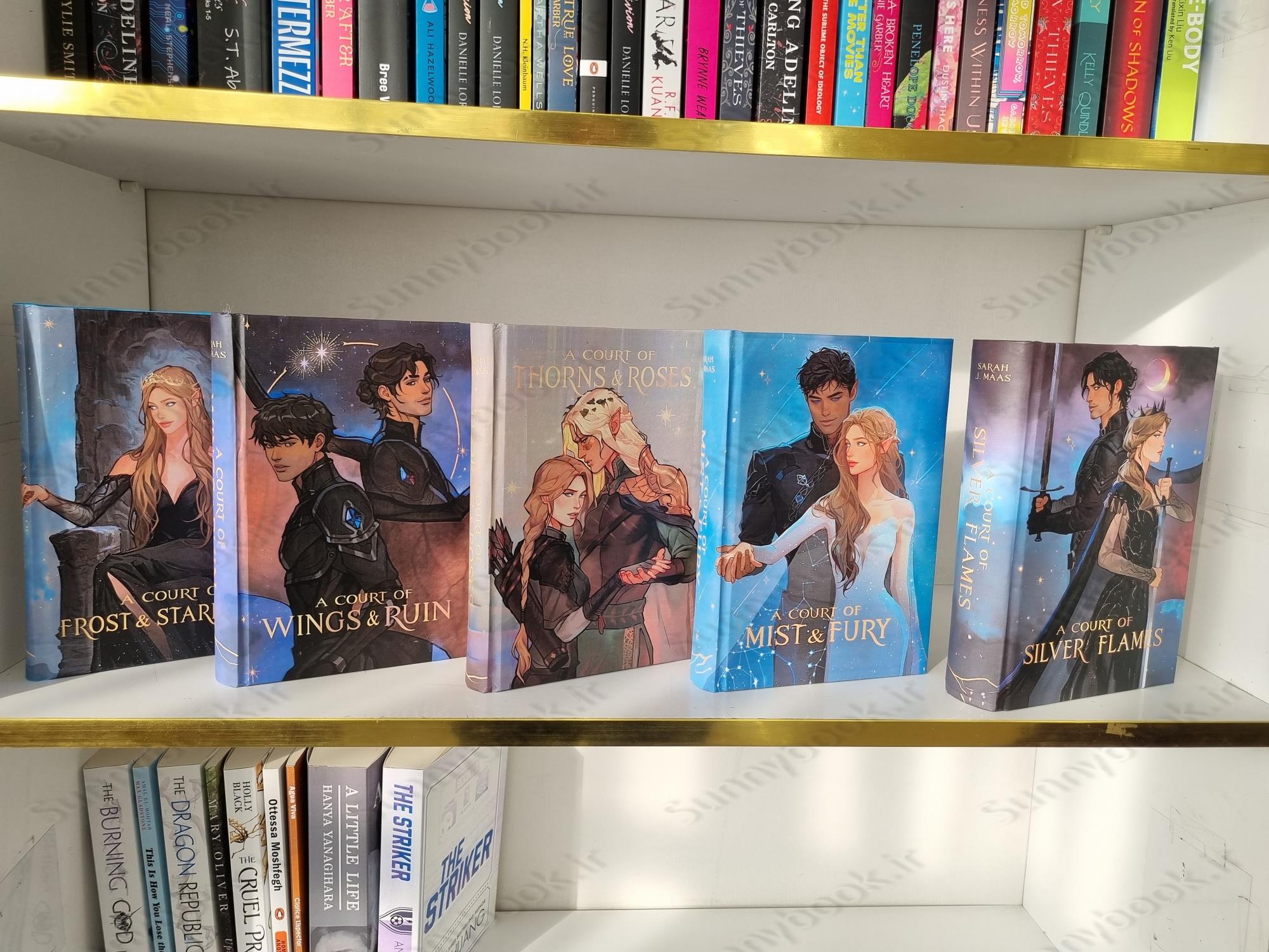 A Court of Frost and Starlight book 3.5 main 1 8