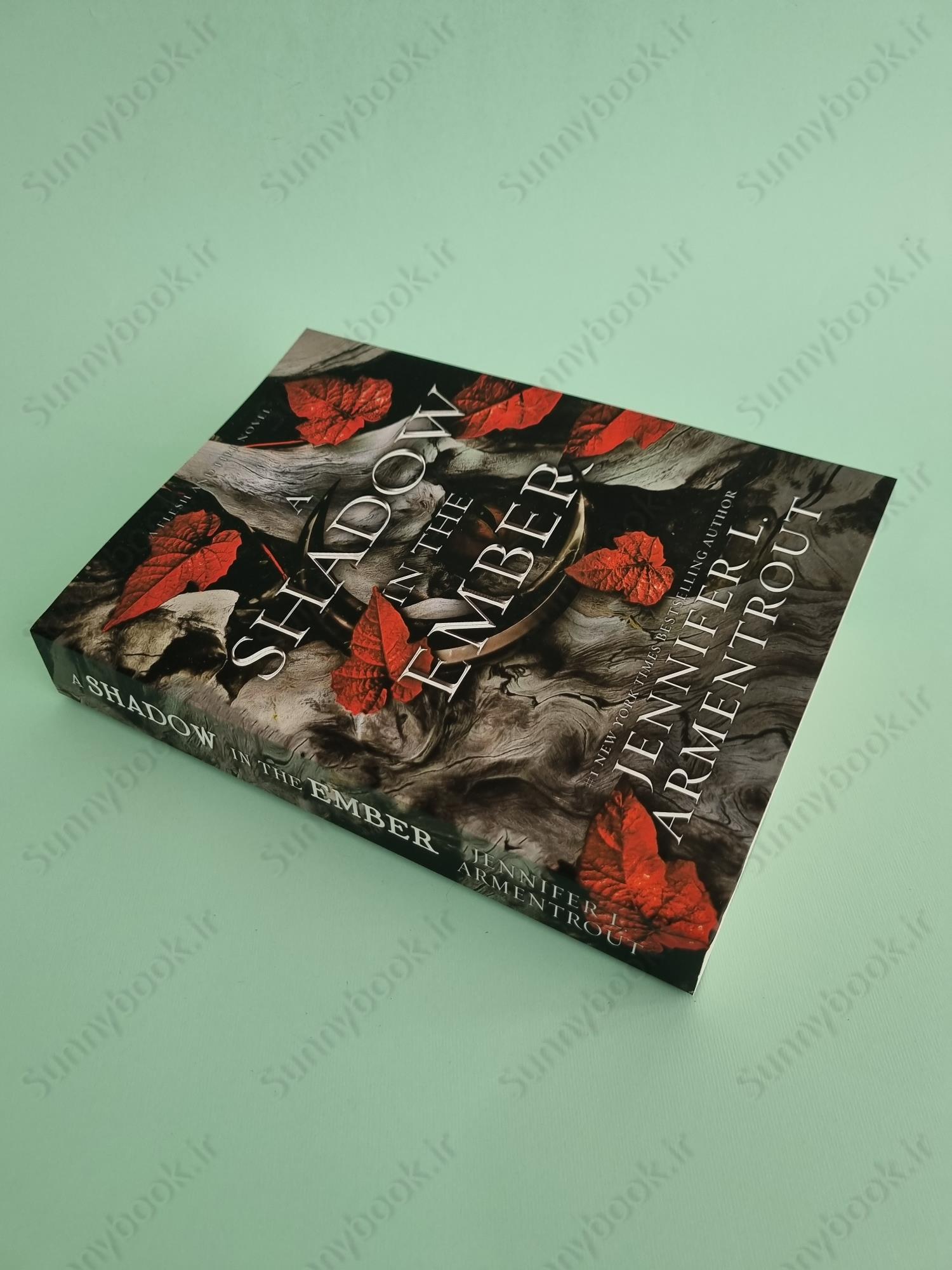 A Shadow in the Ember (Flesh and Fire 1) main 1 3