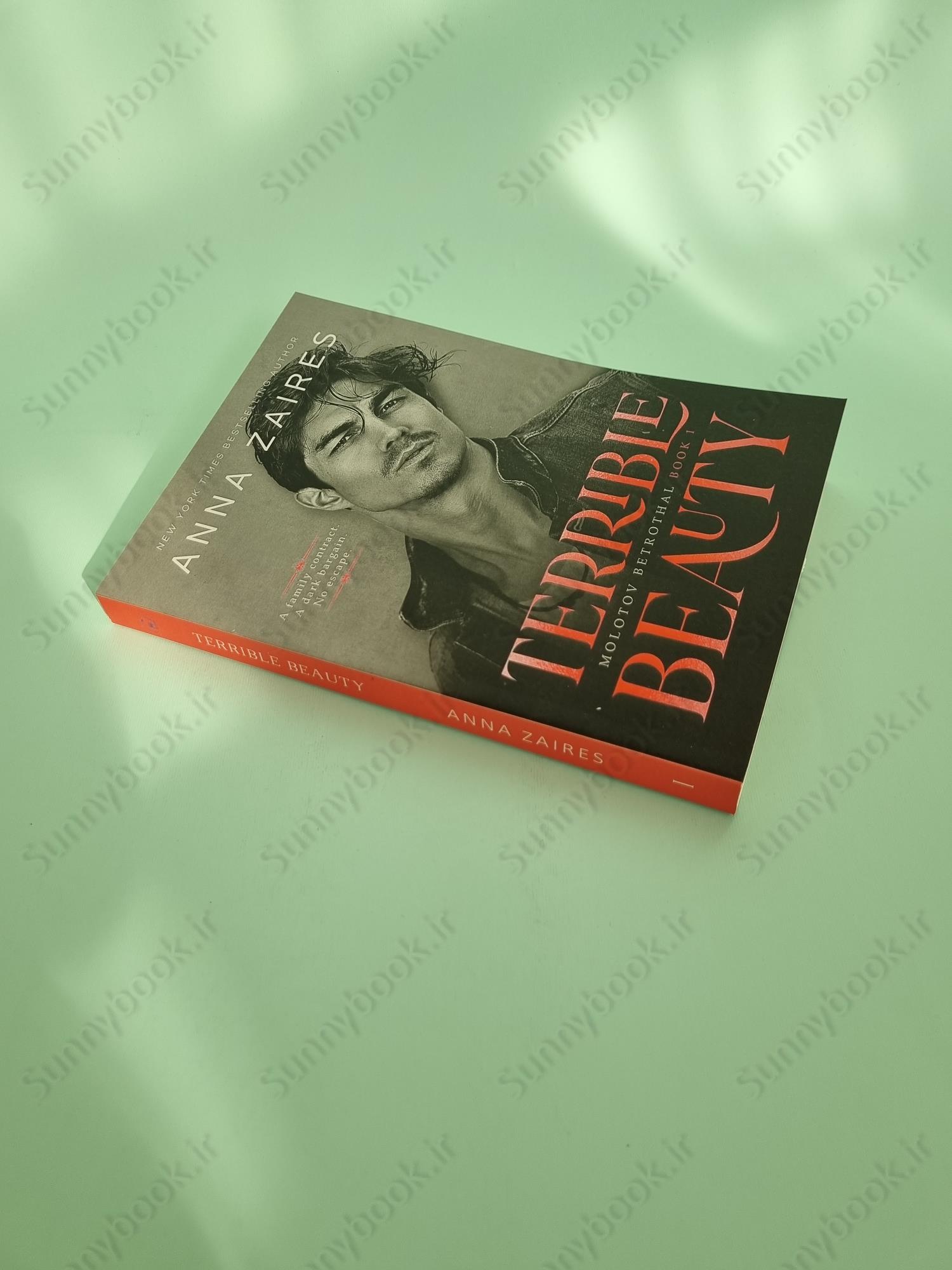 Terrible Beauty (Molotov Betrothal 1) main 1 3