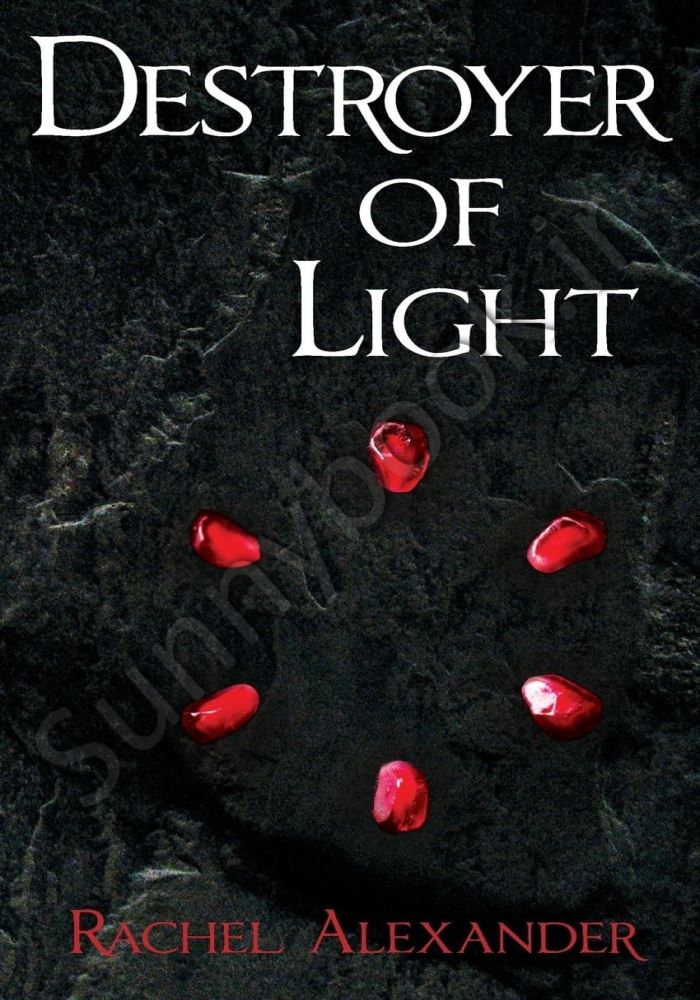 Destroyer of Light Book 2 main 1 1