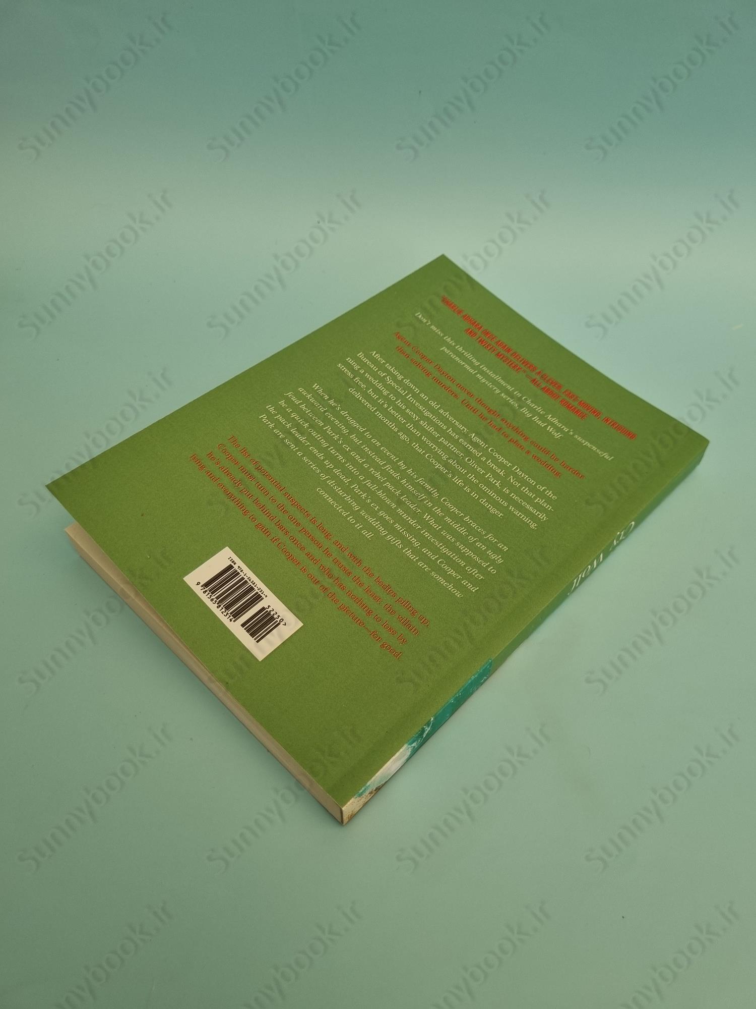 Cry Wolf (Big Bad Wolf 5) main 1 4