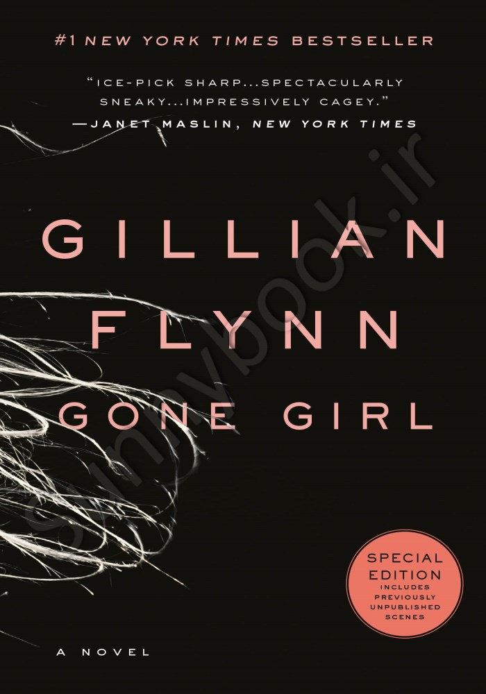 Gone Girl main 1 1