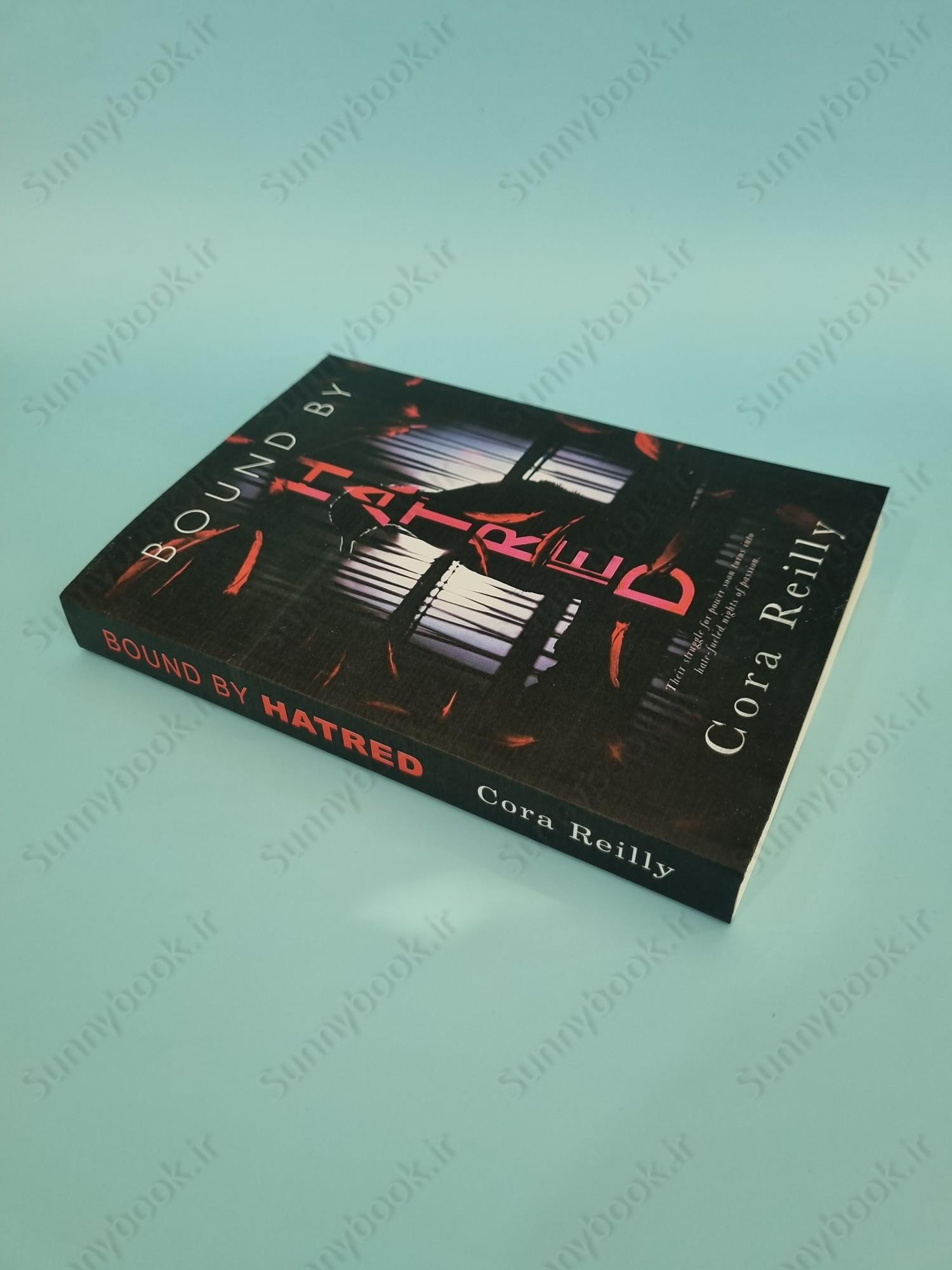 Bound by Hatred (Born in Blood Mafia 3) main 1 3