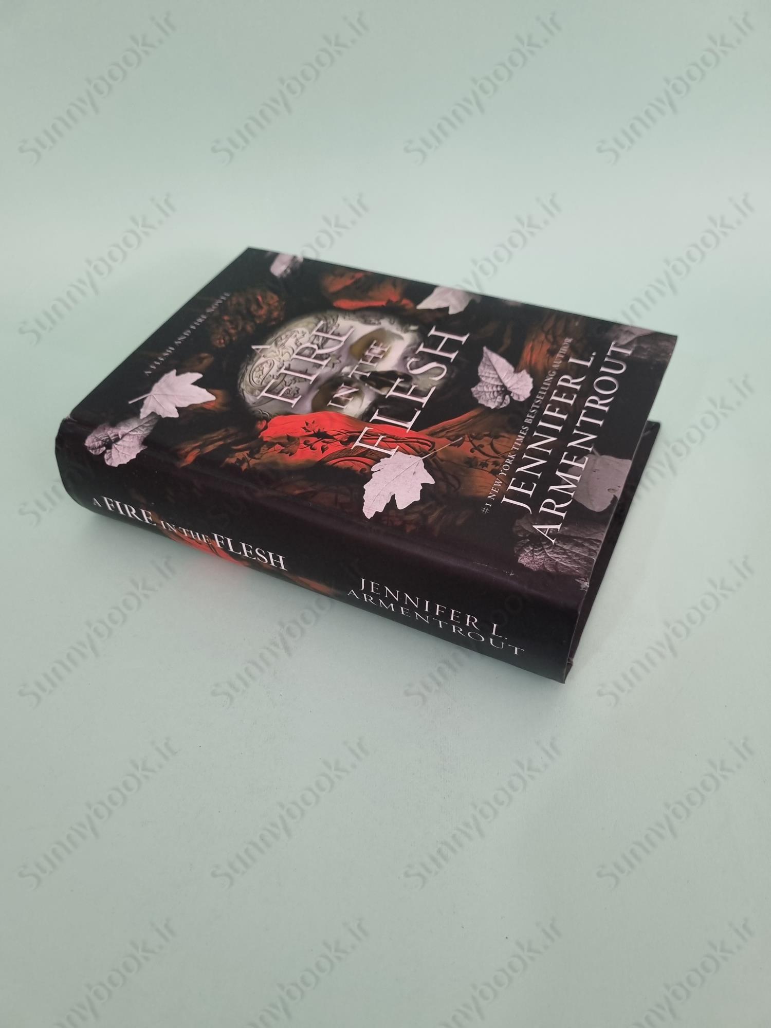 A Fire in the Flesh: A Flesh and Fire Novel (3) main 1 3