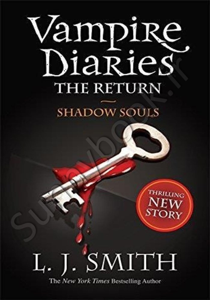 The Vampire Diaries The Return: Shadow Souls Book 6 main 1 1