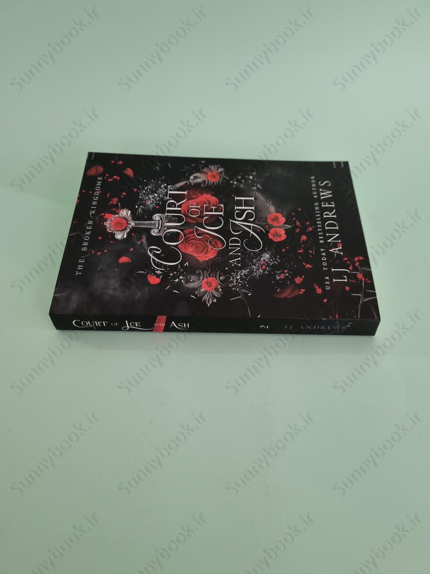 Court of Ice and Ash (The Broken Kingdoms Book 2) main 1 4