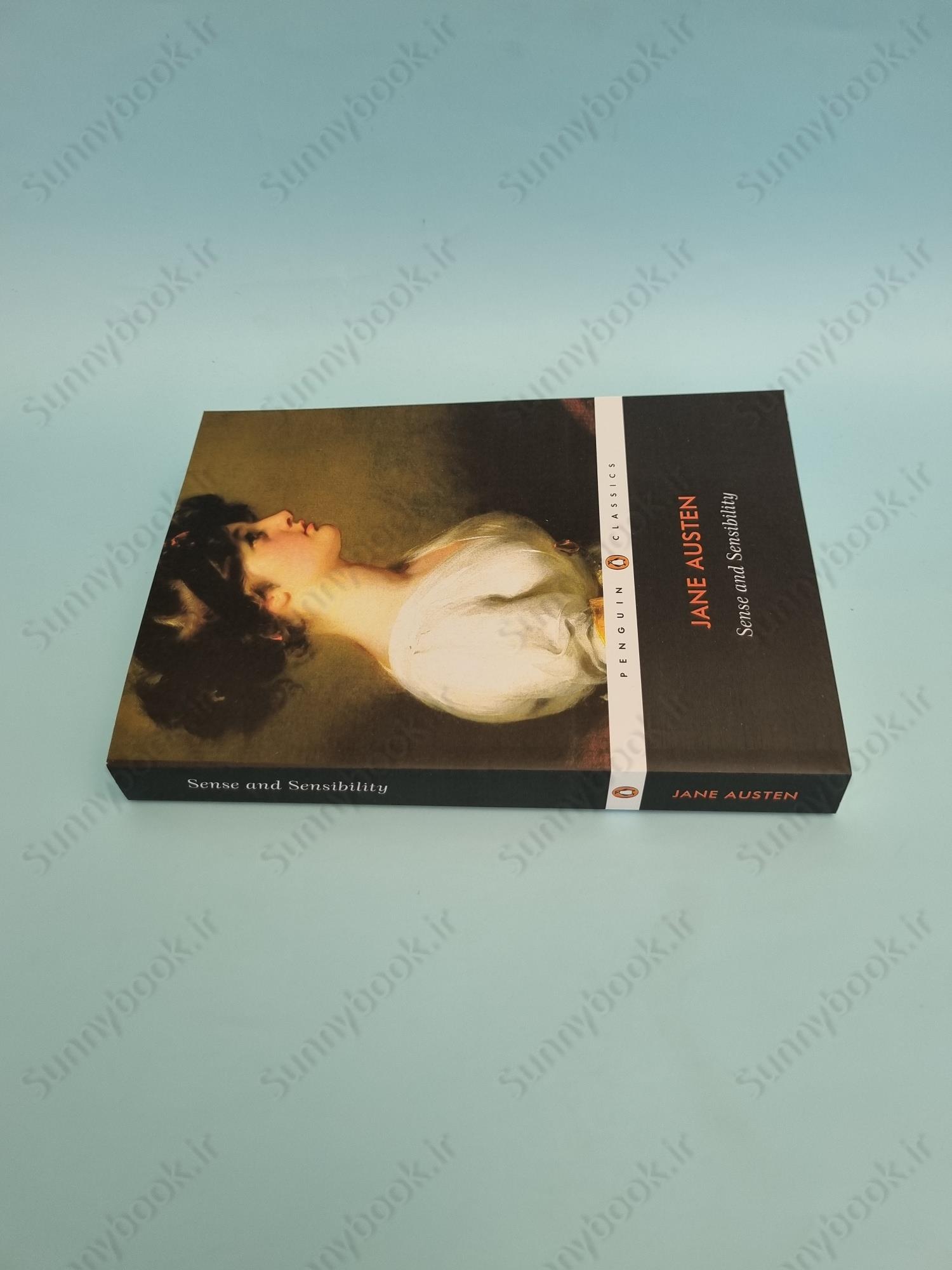 Sense and Sensibility main 1 4