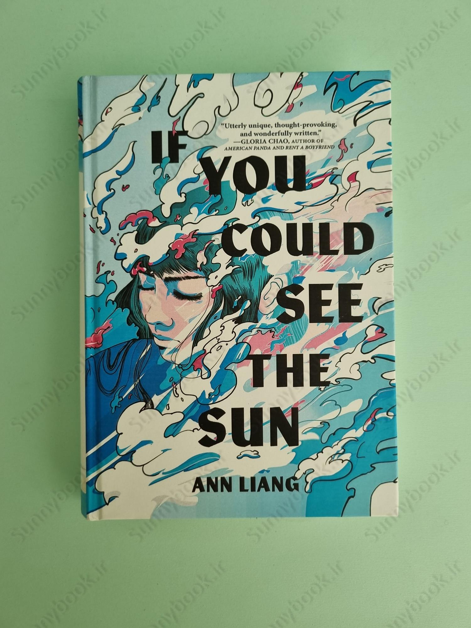 If You Could See the Sun main 1 2