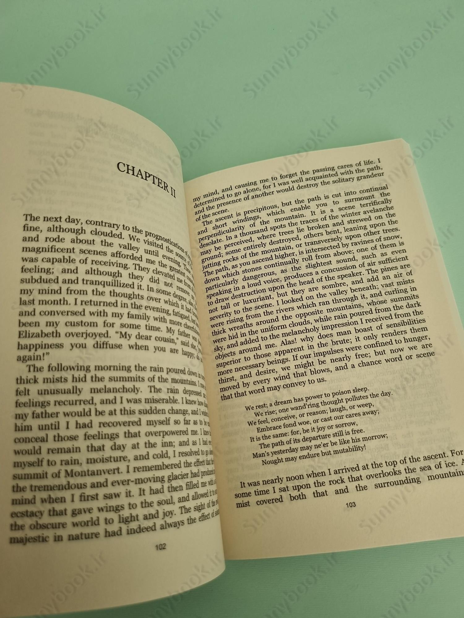 Frankenstein main 1 5