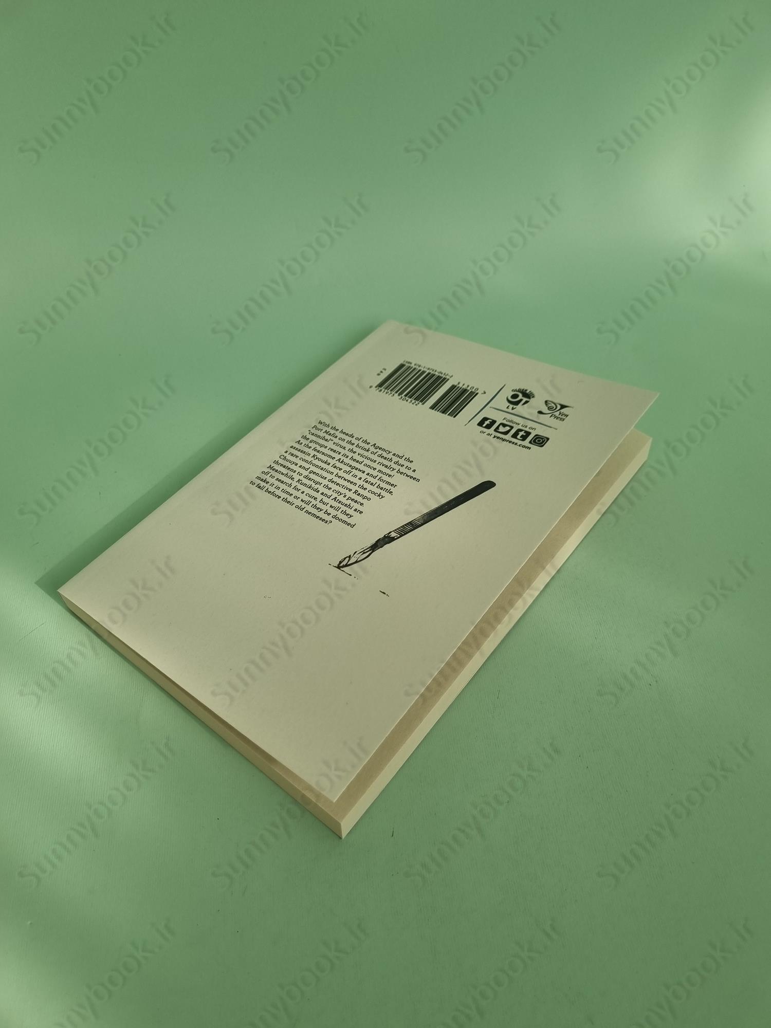 Bungo Stray Dogs 12 main 1 6