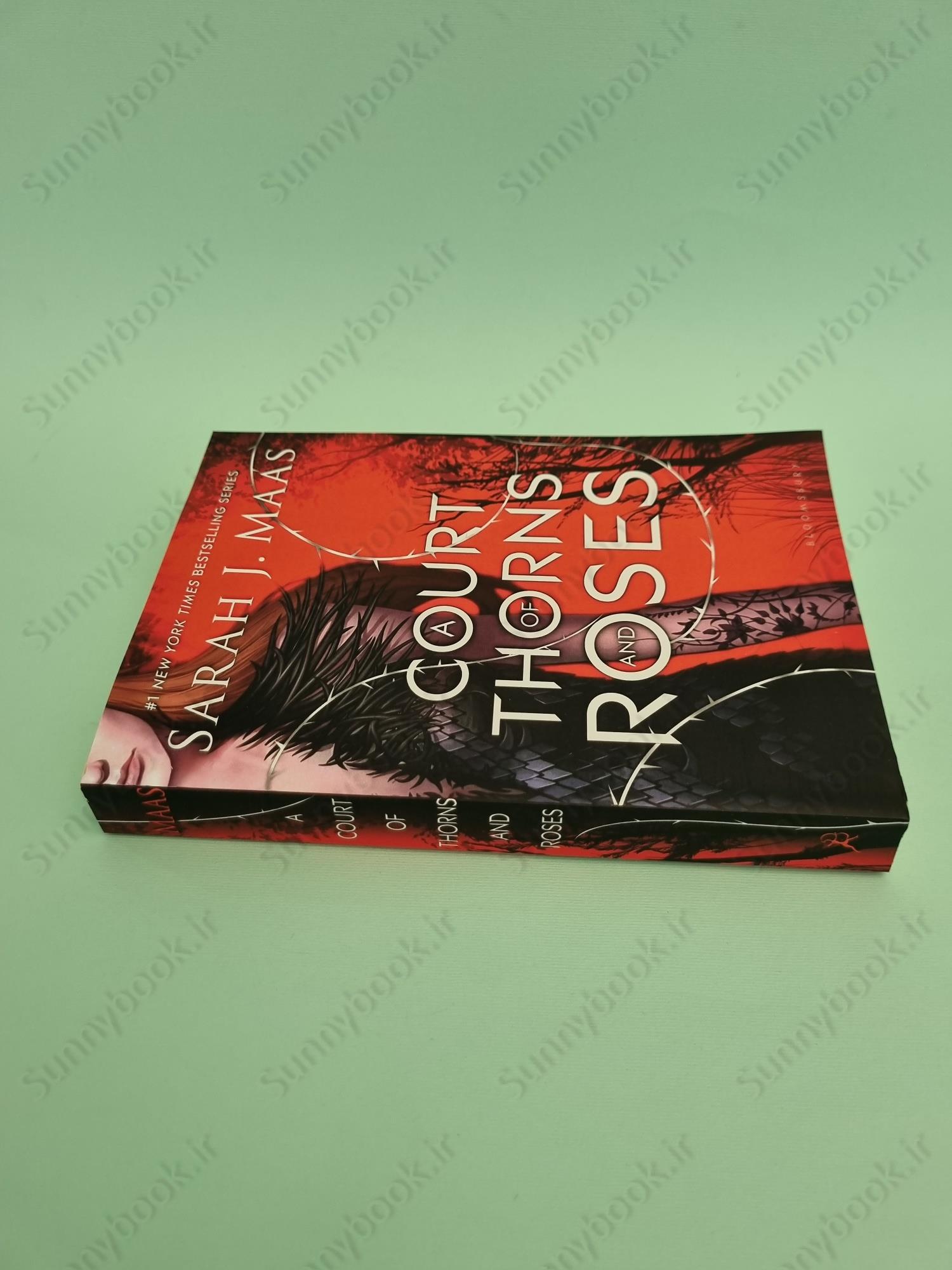 A Court of Thorns and Roses main 1 4