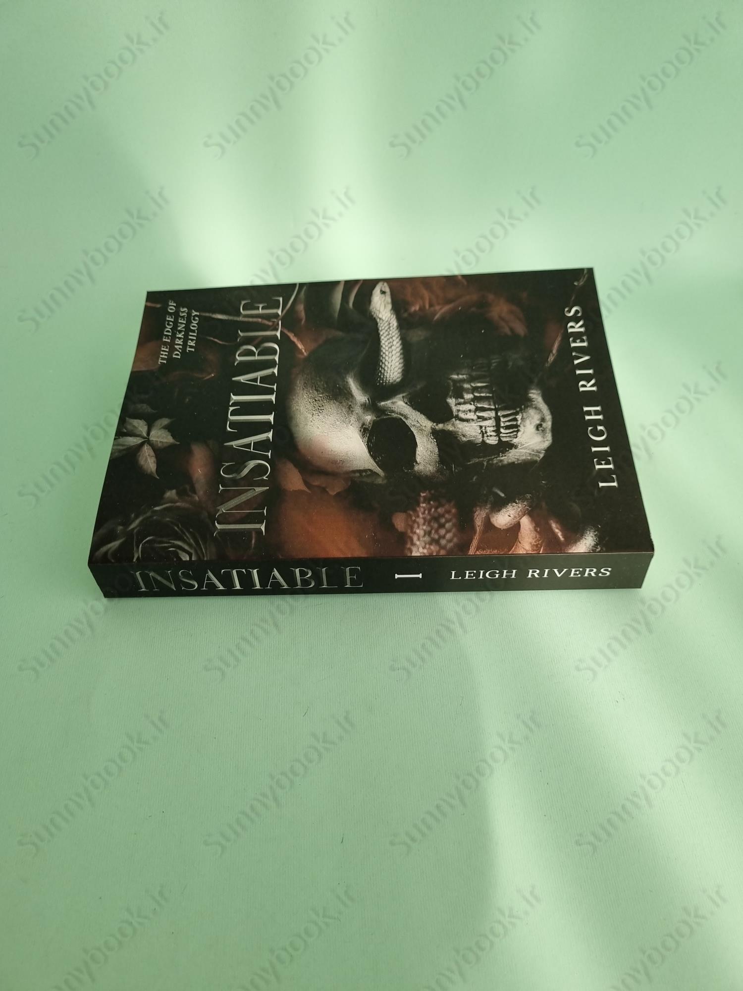 Insatiable (The Edge of Darkness 1) main 1 4