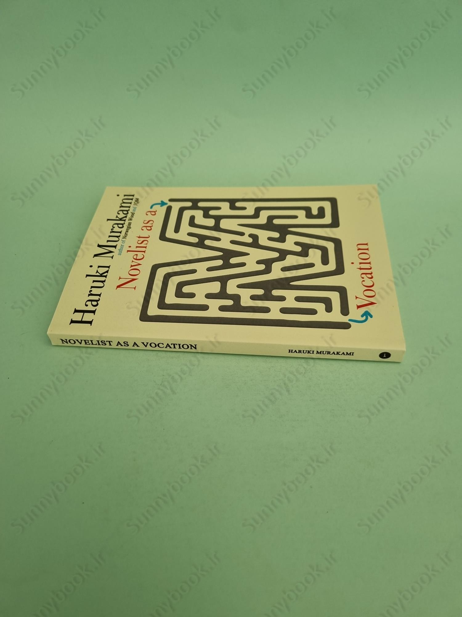 Novelist as a Vocation main 1 4