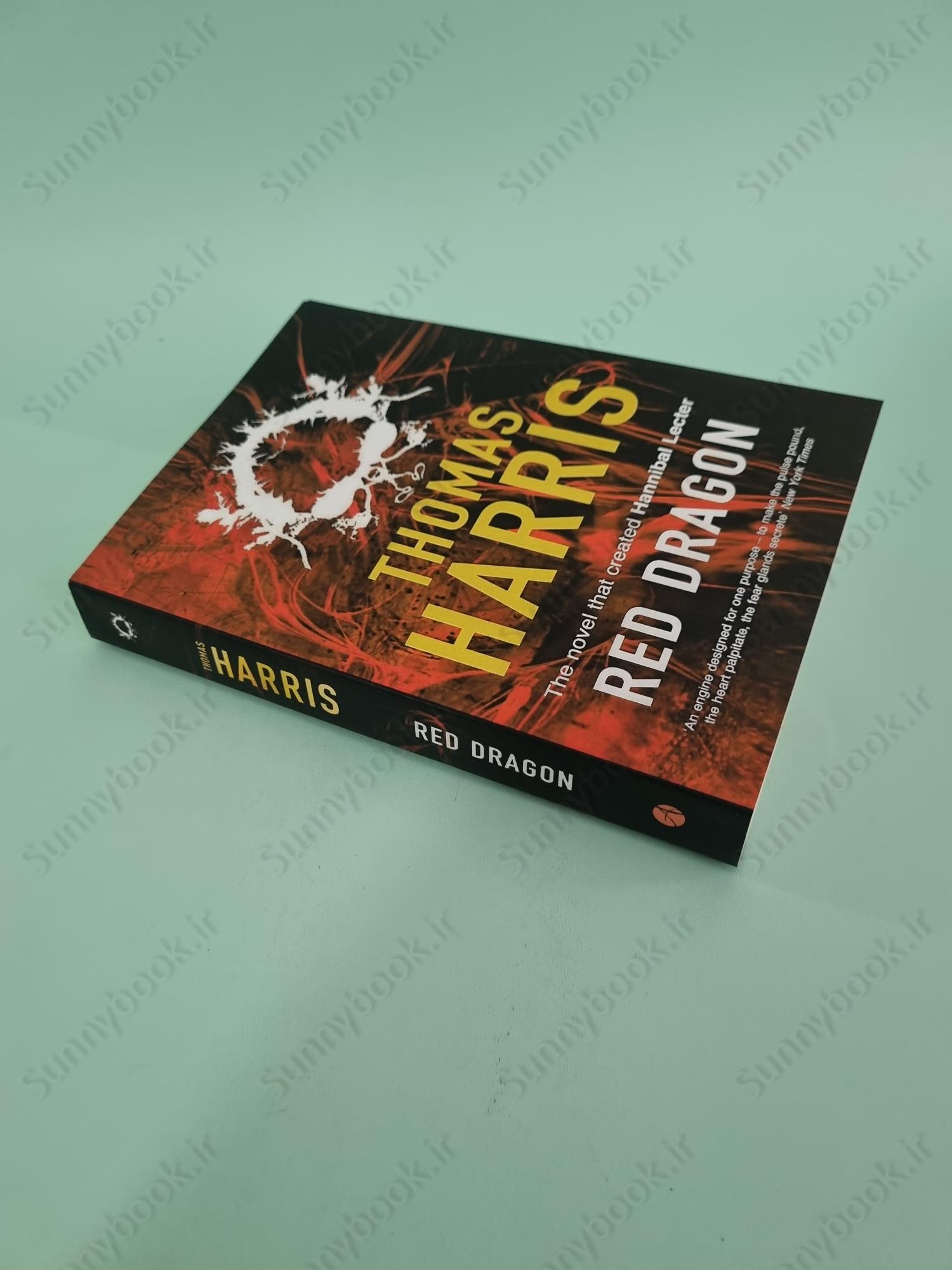 Red Dragon (Hannibal Lecter 1) main 1 3