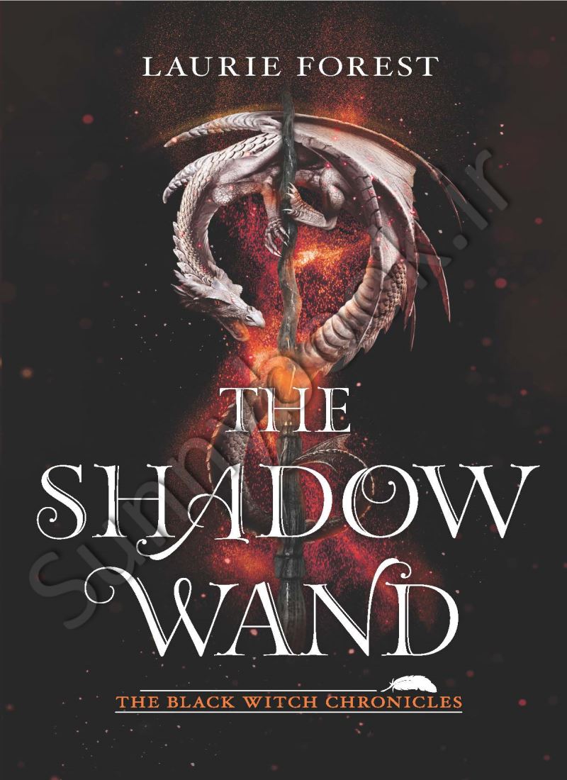 The Shadow Wand (The Black Witch Chronicles 3) main 1 1