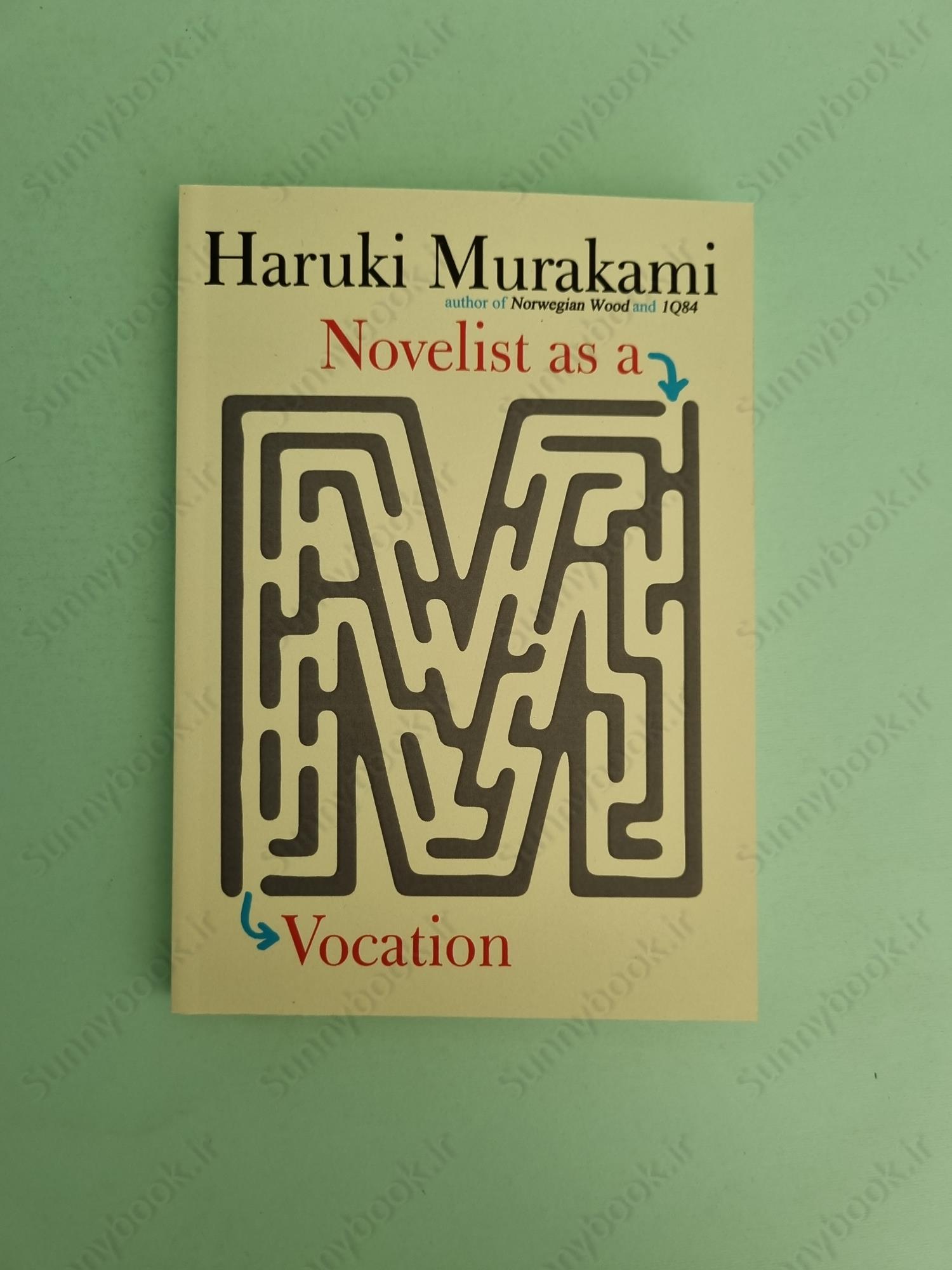 Novelist as a Vocation main 1 2