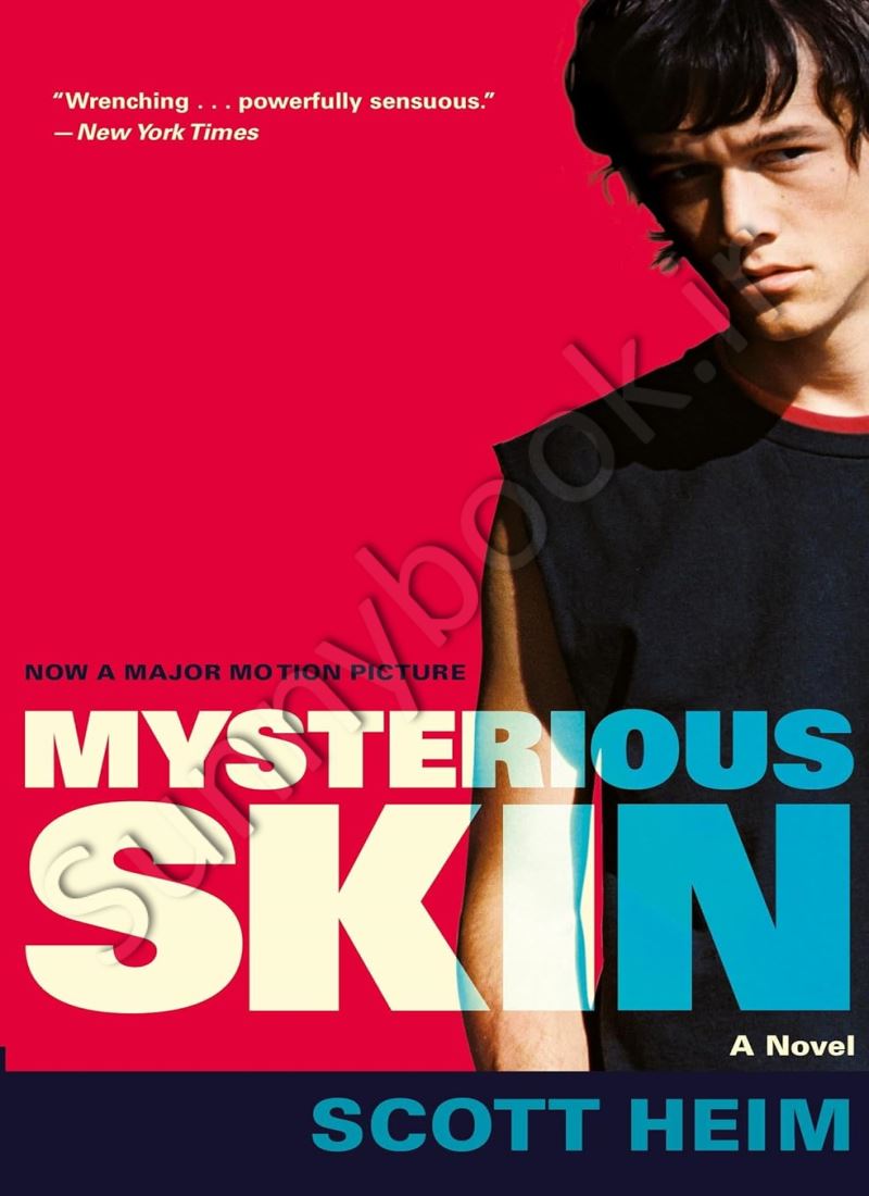 Mysterious Skin main 1 1