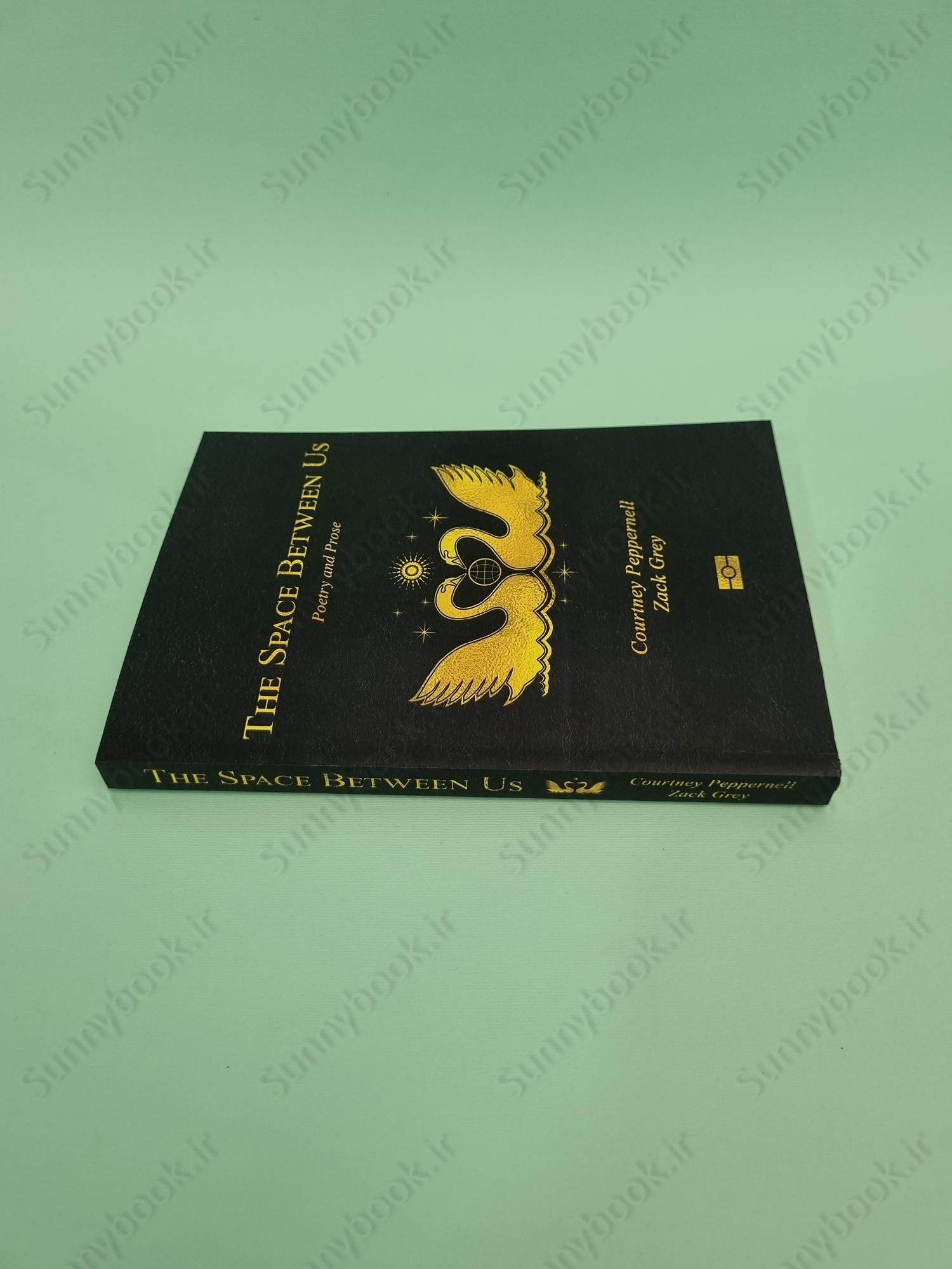 The Space Between Us: Poetry main 1 4