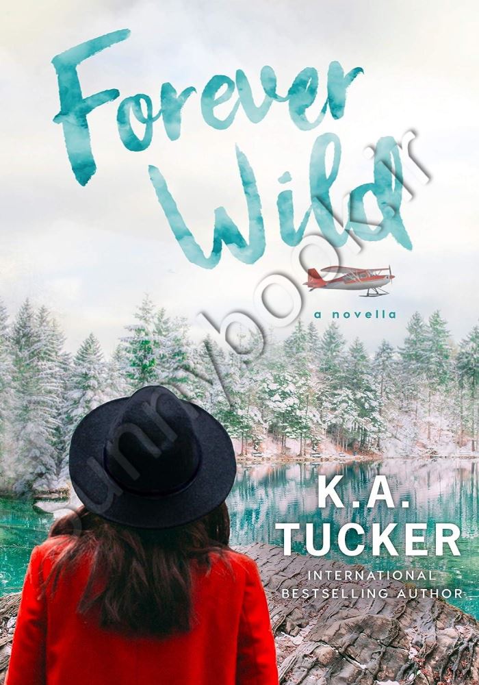 Forever Wild: A Novella (The Simple Wild Book 3) main 1 1