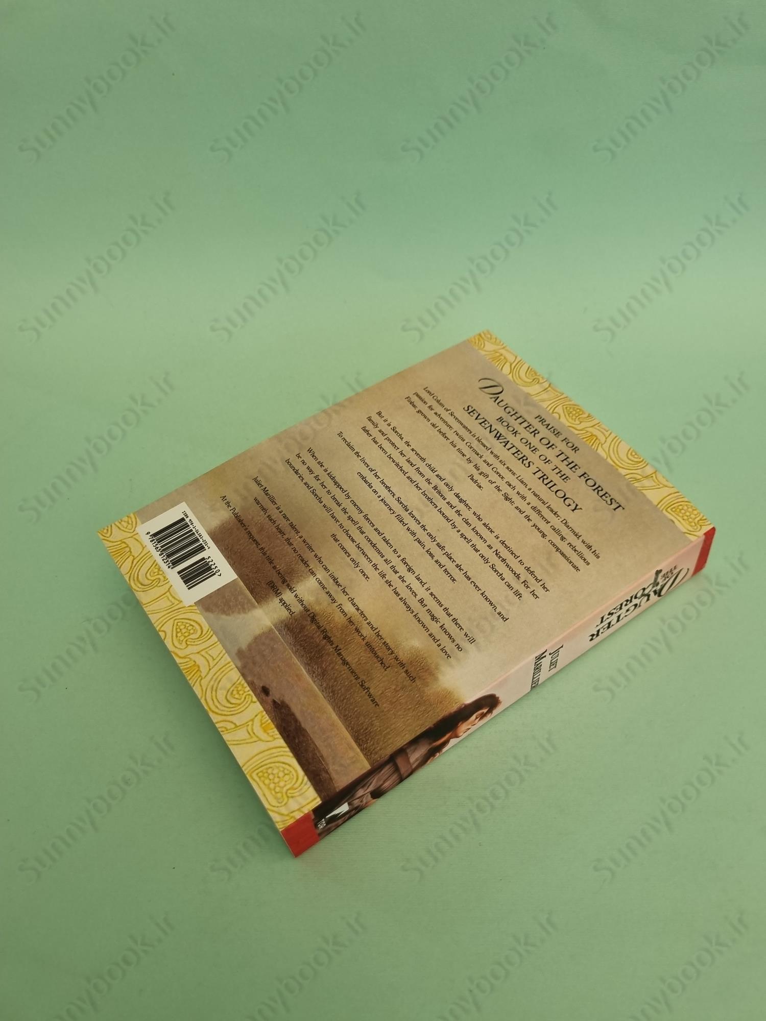 Daughter of the Forest (The Sevenwaters Book 1) main 1 5