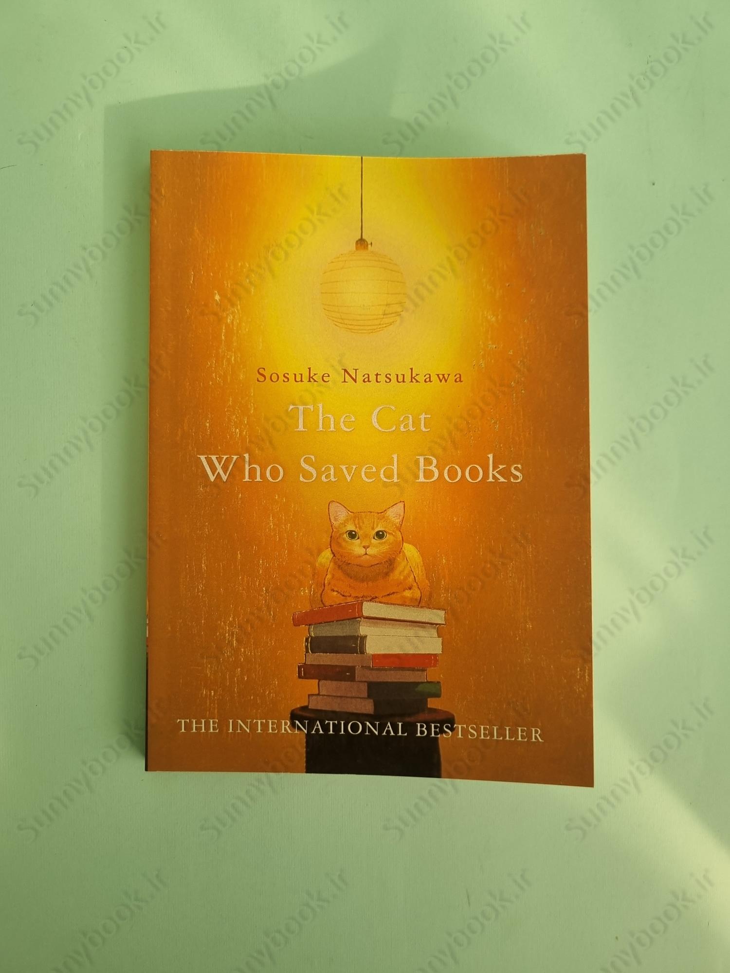 The Cat Who Saved Books main 1 2