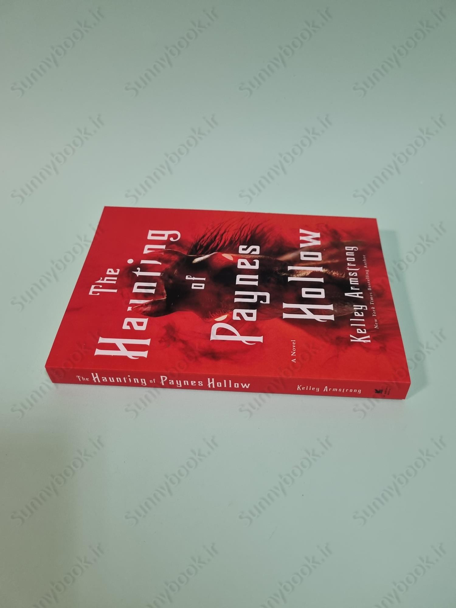 The Haunting of Paynes Hollow main 1 4