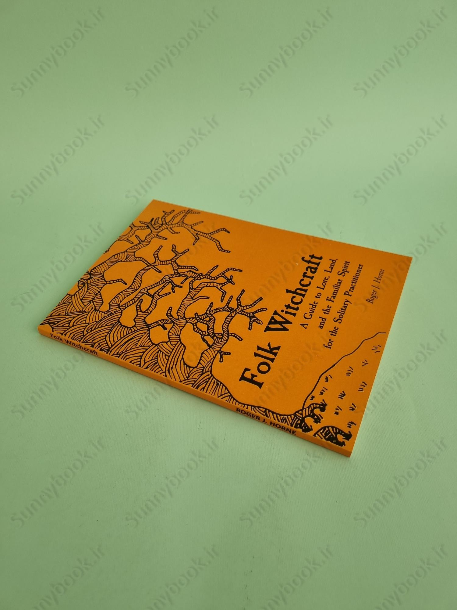 Folk Witchcraft: A Guide to Lore, Land, and the Familiar Spirit for the Solitary Practitioner main 1 3