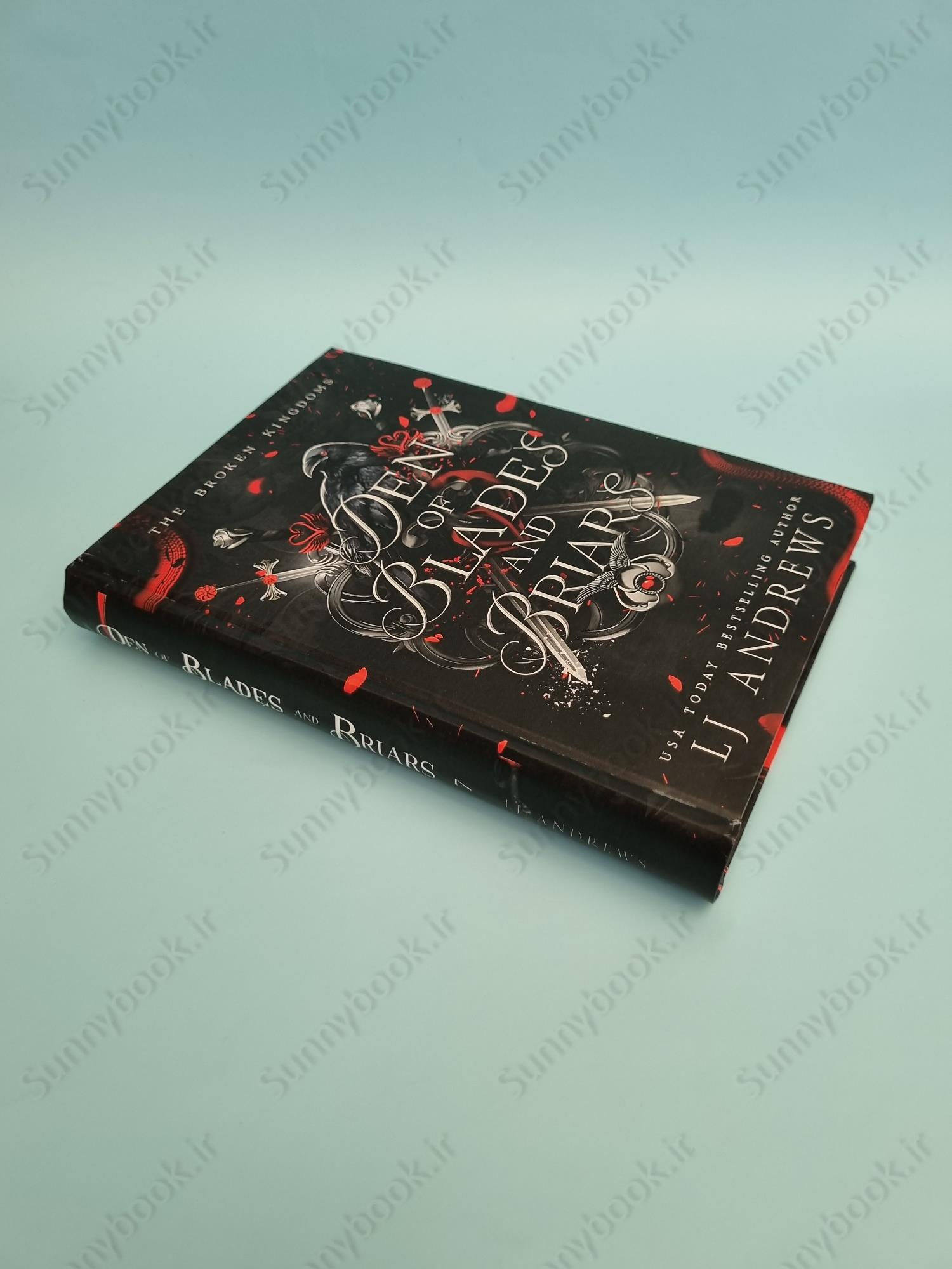 Den of Blades and Briars (The Broken Kingdoms Book 7) main 1 3