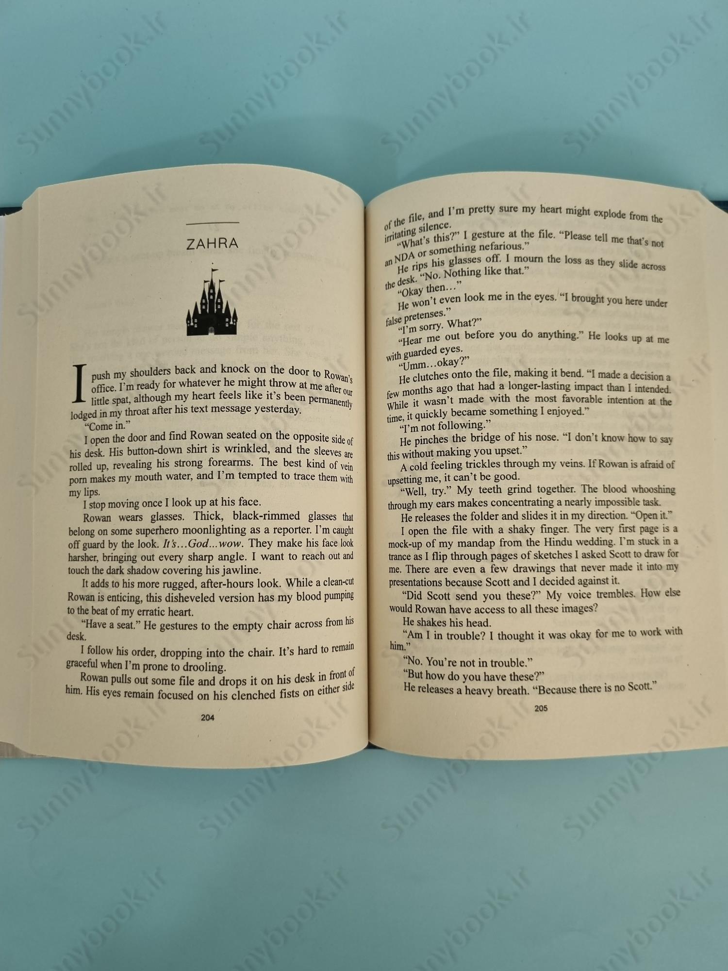 The Fine Print (Dreamland Billionaires 1) main 1 6