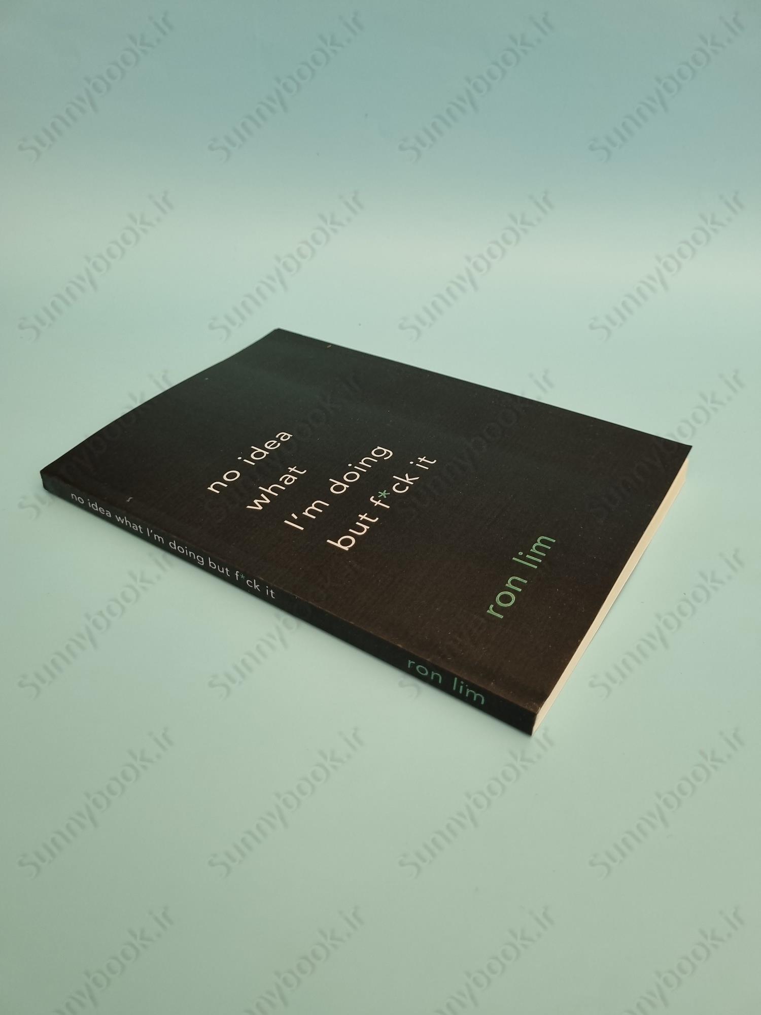 No Idea What I'm Doing but F*ck It main 1 3