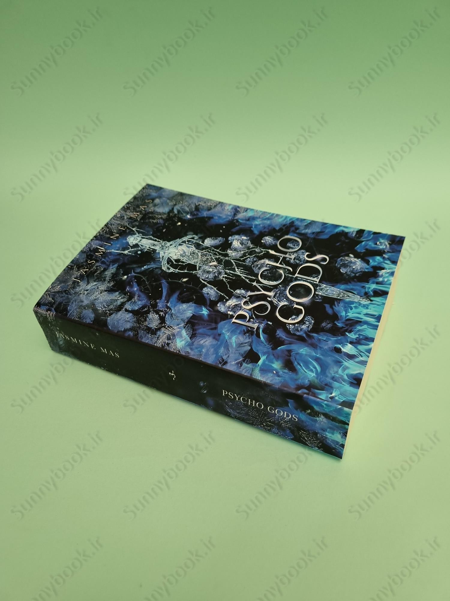 Psycho Gods (Cruel Shifterverse series) main 1 3