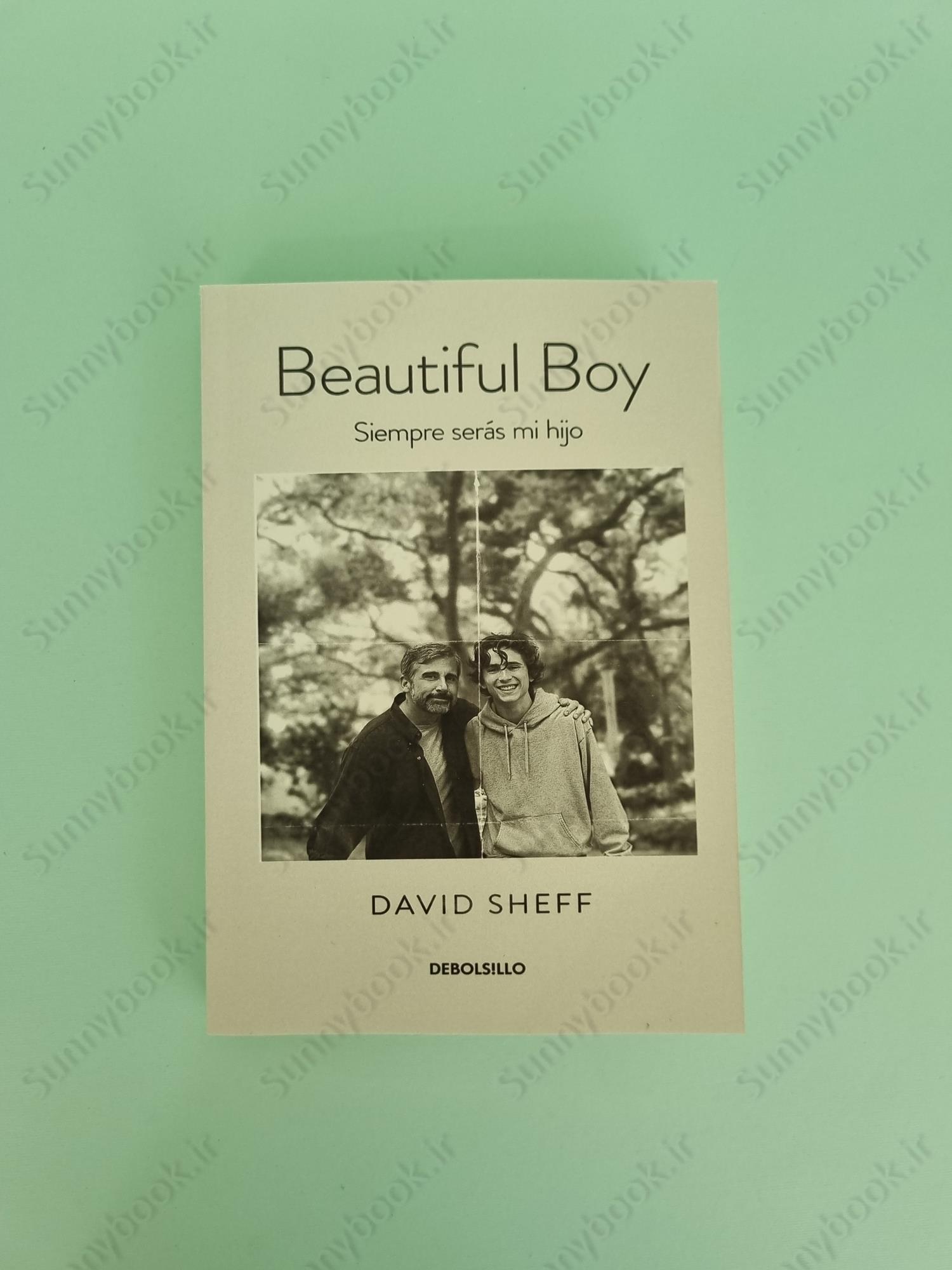Beautiful Boy: A Father's Journey Through His Son's Addiction main 1 2