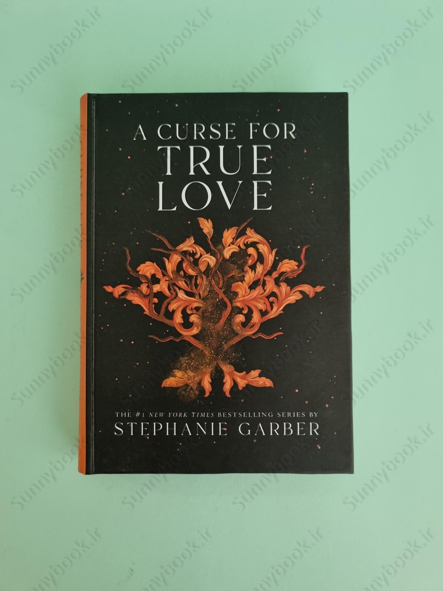 A Curse for True Love (Once Upon a Broken Heart #3) main 1 2