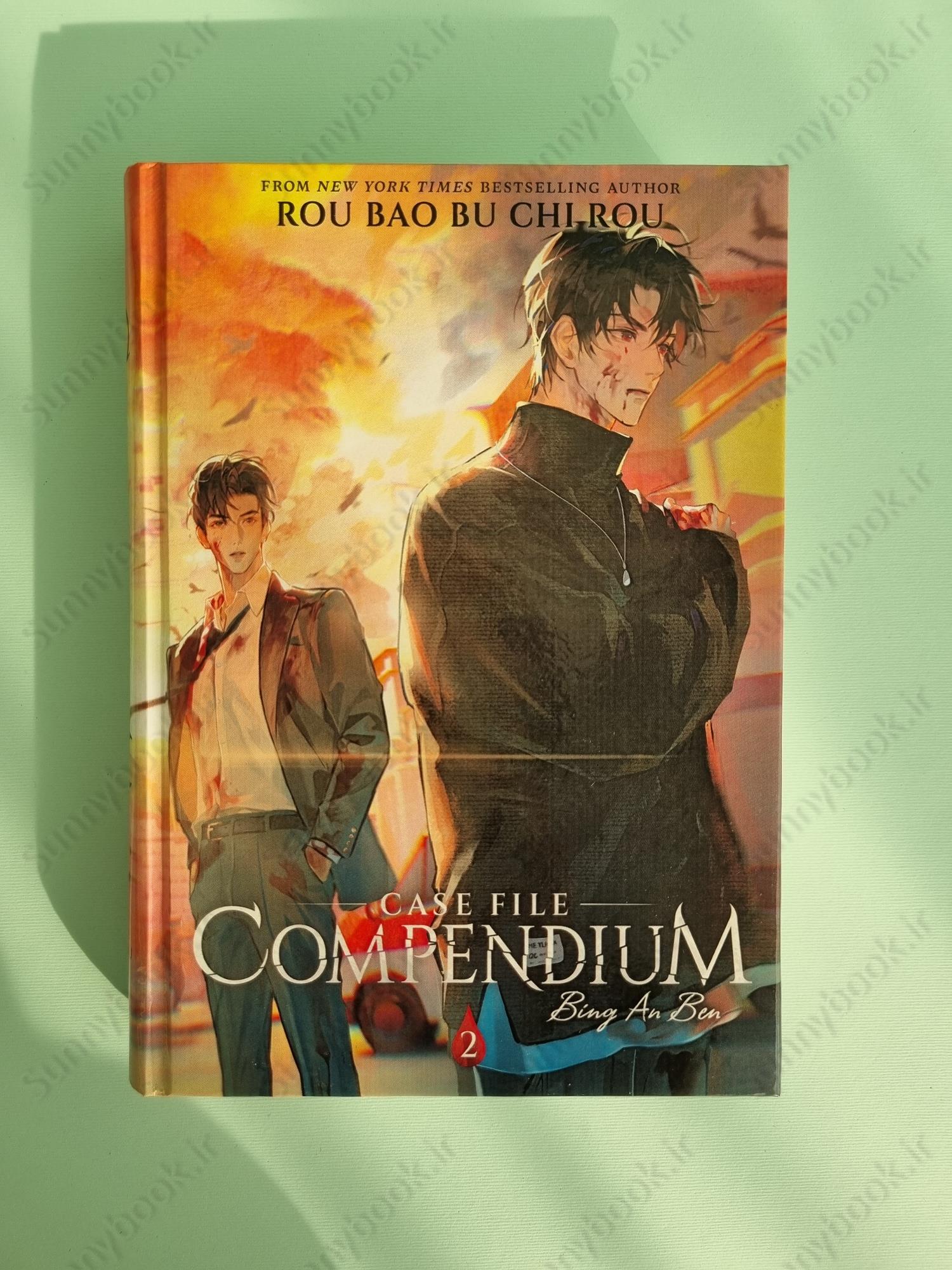 Case File Compendium: Bing An Ben (Novel) Vol. 2 main 1 2