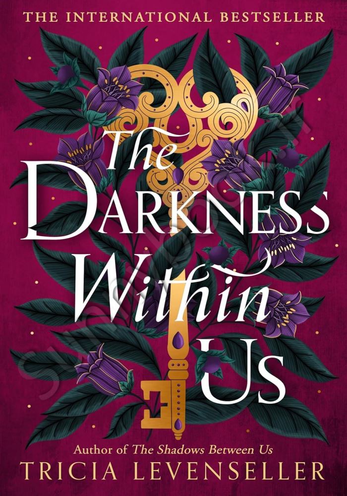 The Darkness Within Us (The Shadows Between Us Book2) main 1 1